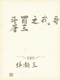 斗罗之我哥哥是唐三