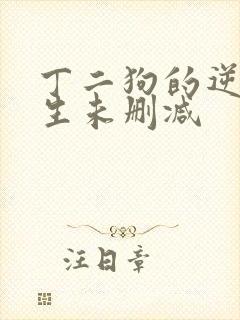 丁二狗的逆袭人生未删减