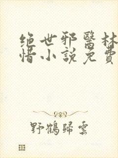 绝世邪医林凡叶惜小说免费阅读全文无弹窗