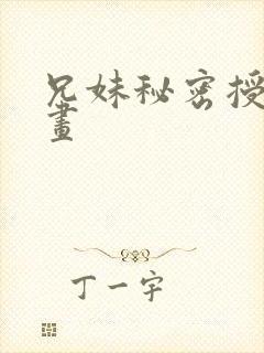 兄妹秘密授课漫画