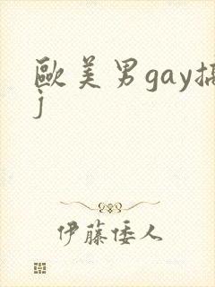 欧美男gay搞j封面