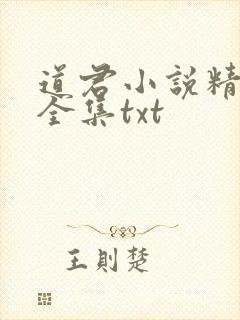 道君小说精校版全集txt