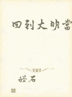回到大明当仁君