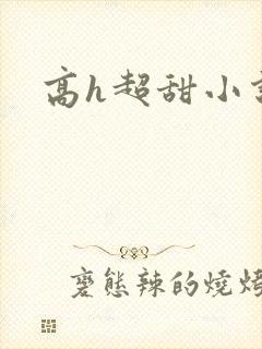 高h超甜小说封面