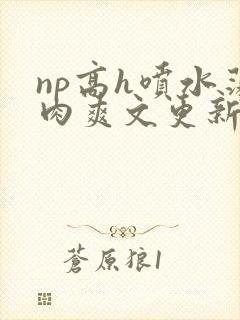 np高h喷水荡肉爽文更新时间