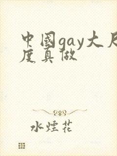 中国gay大尺度真做