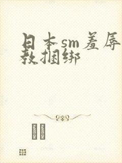 日本sm羞辱调教捆绑