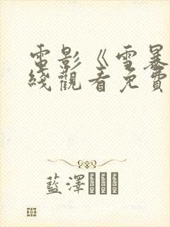 电影《雪暴》在线观看免费封面