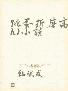 跳蛋折磨高潮(h)小说封面