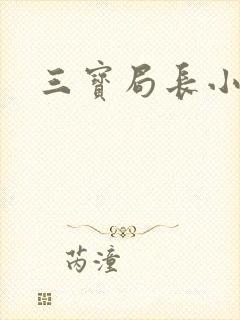 三宝局长小说