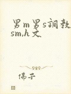 男m男s调教(sm,h文封面