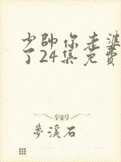 少帅你老婆又跑了24集免费观看