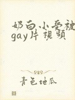 奶白小受被c哭gay片视频