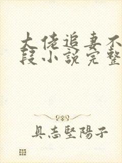 大佬追妻不择手段小说完整版大结局