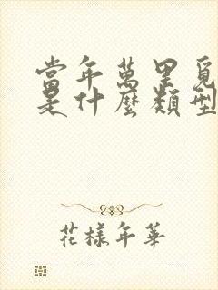 当年万里觅封侯是什么类型的小说
