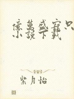 亿万盛宠只为你小说下载封面