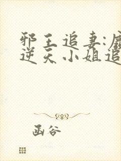 邪王追妻:废材逆天小姐追书