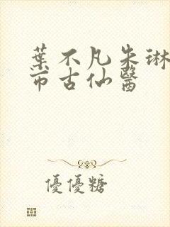 叶不凡朱琳琳都市古仙医