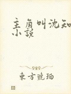 主角叫沈知秋的小说
