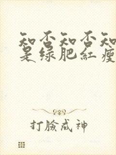知否知否知否应是绿肥红瘦原著