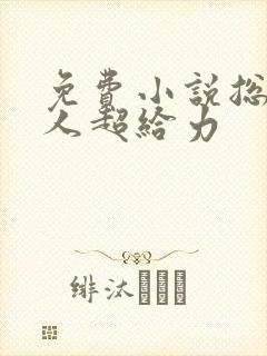 免费小说总裁大人超给力封面