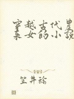 穿越古代农家老来女的小说