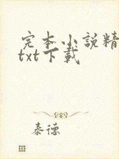 完本小说精校版txt下载封面
