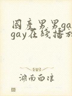 国产男男gaygay在线播放