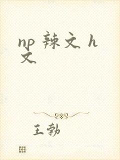 np 辣文 h文