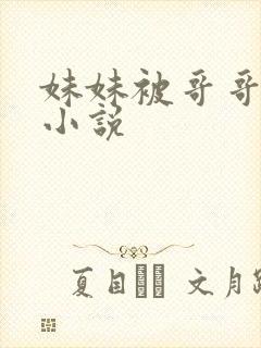 妹妹被哥哥调教小说