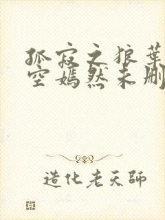 孤寂之狼叶凡司空嫣然未删减txt