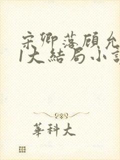 宋卿落顾允廷31大结局小说封面