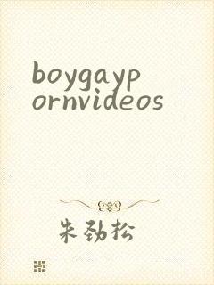 boygaypornvideos
