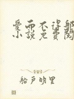 爱而不得那十年小说免费阅读封面