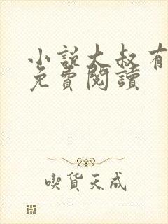 小说大叔有点帅免费阅读封面