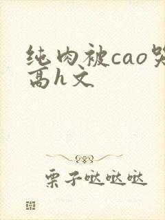 纯肉被cao哭高h文封面