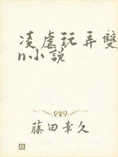 凌虐玩弄双性大n小说