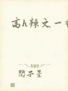 高h辣文一对一