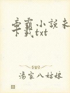 帝霸小说未删版下载txt