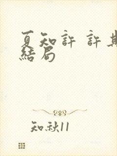 夏知许 许其琛结局
