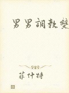 男男调教双性人