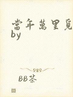 当年万里觅封侯by