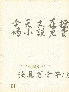 今天又在撩拨后妈小说免费阅读