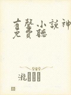 有声小说神王令免费听