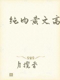 纯肉黄文高h文