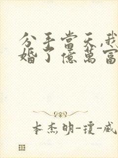 分手当天,我闪婚了亿万富豪正版