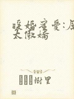 暖婚蜜爱:厉少太傲娇封面