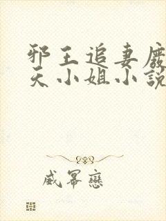 邪王追妻废材逆天小姐小说
