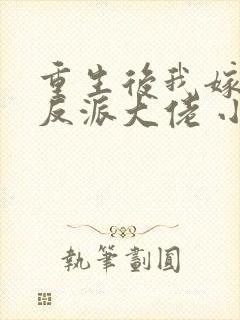 重生后我嫁给了反派大佬 小说