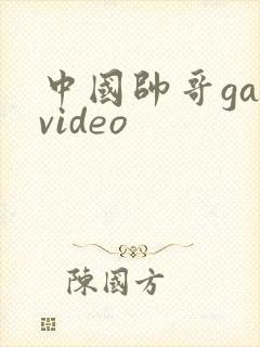 中国帅哥gayvideo